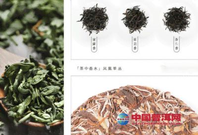 朝仙茶業(yè)精選普洱茶葉原料供應商聯(lián)系方式