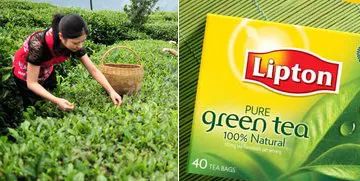 中國茶葉產業(yè)集群品牌聯盟問世 能為行業(yè)帶來什么