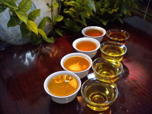 陜西推廣地域特色產業(yè) 86個地標產品成脫貧富民 金招牌