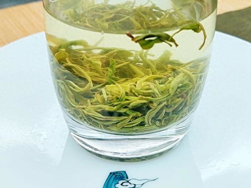 2023綠茶聯賽，江西隊出戰之狗牯腦茶登場