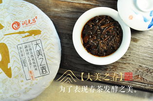 潤(rùn)元昌精品普洱熟茶 春茶發(fā)酵的精粹之選