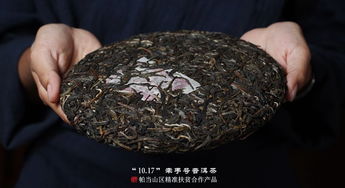 2019年福元昌牽手號(hào)扶貧茶帕當(dāng)山區(qū)生茶357克價(jià)格與購(gòu)買(mǎi)指南